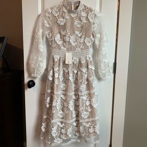 NEW Ivy City Co. Verona Dress